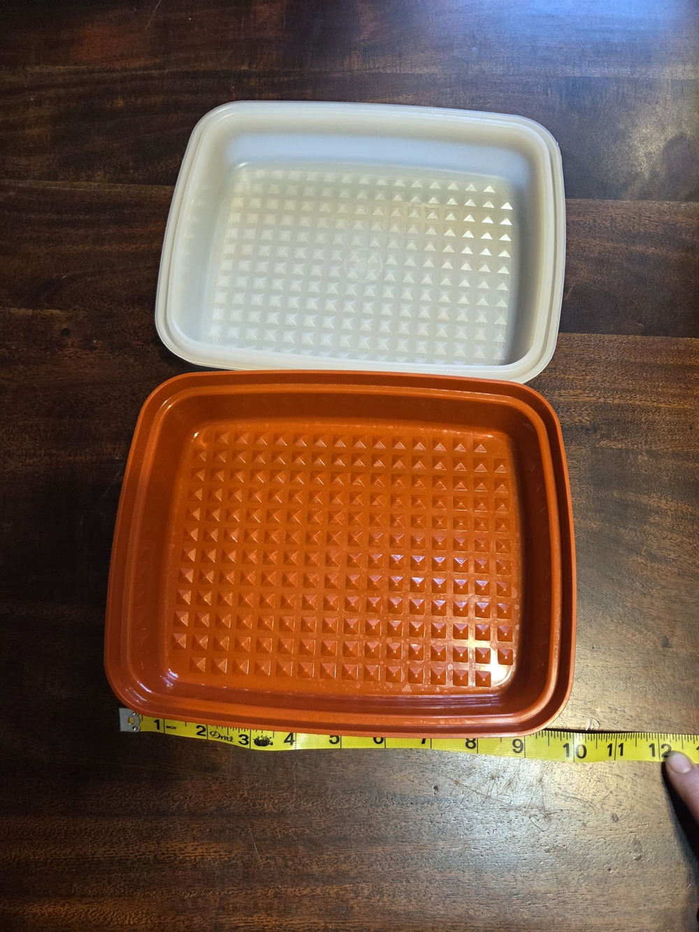 Vintage TUPPERWARE Marinade Meat Tenderizer Keeper Container Paprika